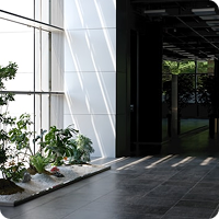 Sunlit modern lobby with a glass wall, potted plants on a ledge, and a dark doorway opening to outdoors.