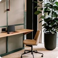 Home office setup: wooden desk with teal frame, laptop and monitor, beige rolling chair, tall plant nearby.
